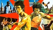 La Vie fantastique de Bruce Lee wallpaper 