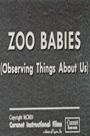 poster Zoo Babies (Observing Things About Us)