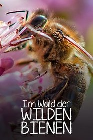 poster Im Wald der wilden Bienen
