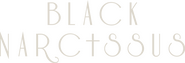 Logo of Black Narcissus image size 3795x1299