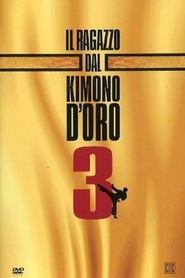 poster Karate Warrior 3