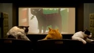 Quarantine Cat Film Festival wallpaper 