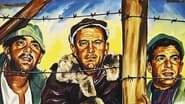 Stalag 17 wallpaper 