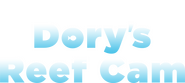 Logo of Dory's Reef Cam image size 2902x1300