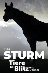 poster Der Sturm - Tiere bei Blitz und Donner