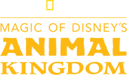 Logo of Magic of Disney's Animal Kingdom image size 2209x1300