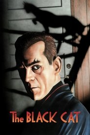 Poster of The Black Cat image size 1290x1935