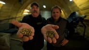 Bering Sea Gold season 10 episode 12