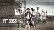 Backdrop of Pit Boss image size 3840x2160