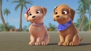 Barbie et ses sœurs : À la recherche des chiots wallpaper 