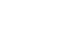 Logo of UFC 313: Pereira vs. Ankalaev image size 1925x1273