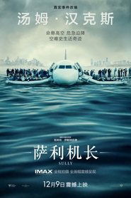 薩利機長：哈德遜奇蹟(2016)流電影高清。BLURAY-BT《Sully.HD》線上下載它小鴨的完整版本 1080P