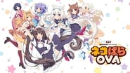 Nekopara wallpaper 