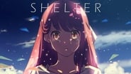 Shelter wallpaper 