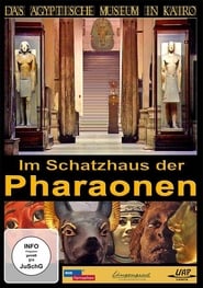 Im Schatzhaus der Pharaonen