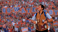 Waterboy wallpaper 