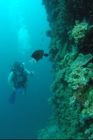 poster Wonders of the Great Barrier Reef with Iolo Williams