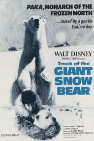 Snow Bear