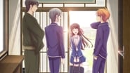 Fruits Basket  