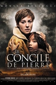 Voir film Le Concile de pierre en streaming