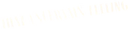 Logo of That Uncertain Feeling image size 796x183