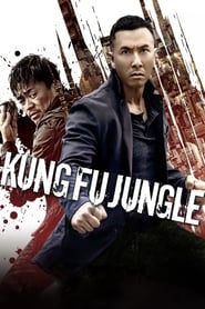 Kung Fu Jungle 2014 123movies