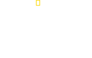 Logo of Mafia Confidential image size 2033x1299