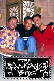Les frères Wayans streaming VF - wiki-serie.cc