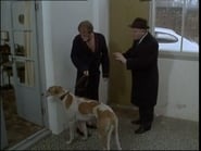 Minder season 5 episode 9