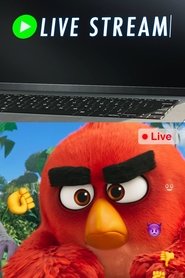 poster Angry Birds: Live Stream