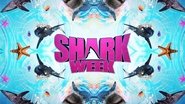 Backdrop of Shark Week image size 1712x964