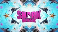 Shark Week  