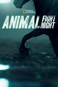 Poster of Animal Fight Night image size 2000x3000