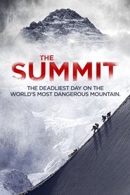 poster The Summit