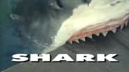 Predators of the Wild: Shark wallpaper 
