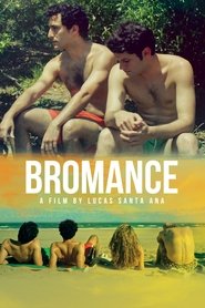 poster Bromance