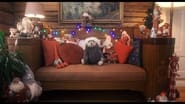 Brillebjørn feirer jul wallpaper 