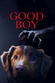Poster of Good Boy image size 2000x3000