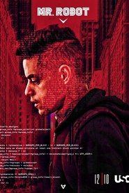 Poster of Mr. Robot image size 900x1350