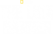 Logo of The Lion Ranger image size 1700x1080