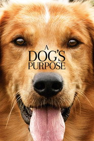 Poster Movie A Dog's Purpose 2017