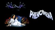 Phenomena wallpaper 