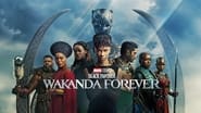 Black Panther : Wakanda Forever wallpaper 