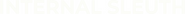 Logo of Internal Sleuth image size 758x57