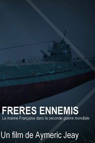 poster Frères ennemis