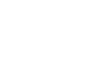 Logo of Agent Elvis image size 242x204