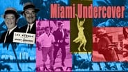 Miami Undercover  