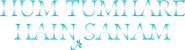 Logo of Hum Tumhare Hain Sanam image size 4263x1149