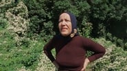 Grey Gardens wallpaper 