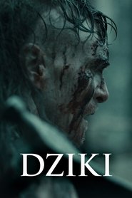 Dziki